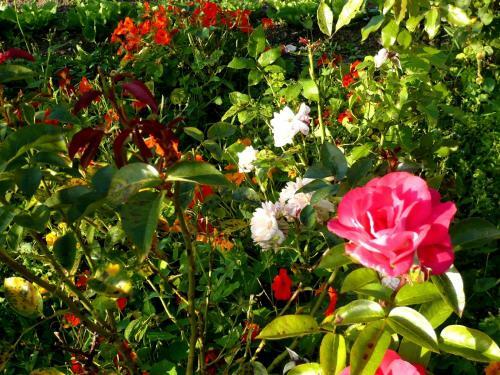 Bed & Breakfast Domaine de La Fromagerie