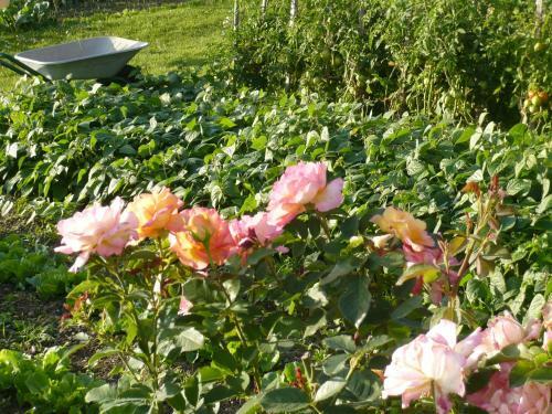 Bed & Breakfast Domaine de La Fromagerie