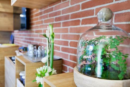 Hotel Ibis Toulouse Lavaur