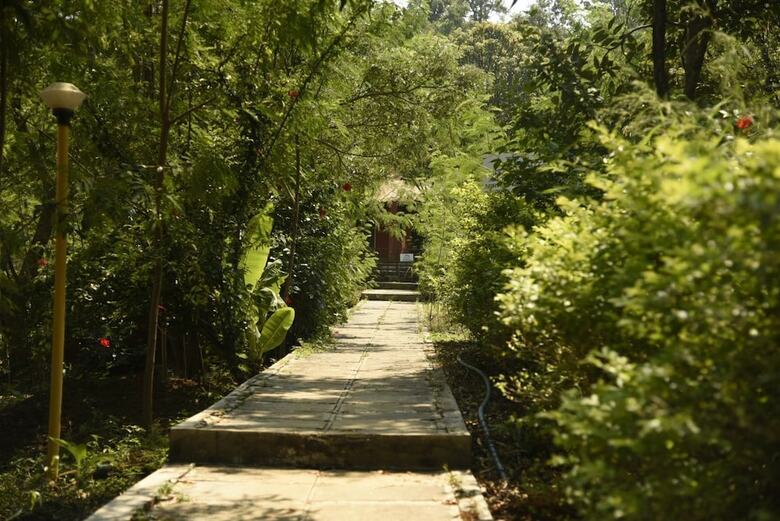Hotel Wild Camp Resort