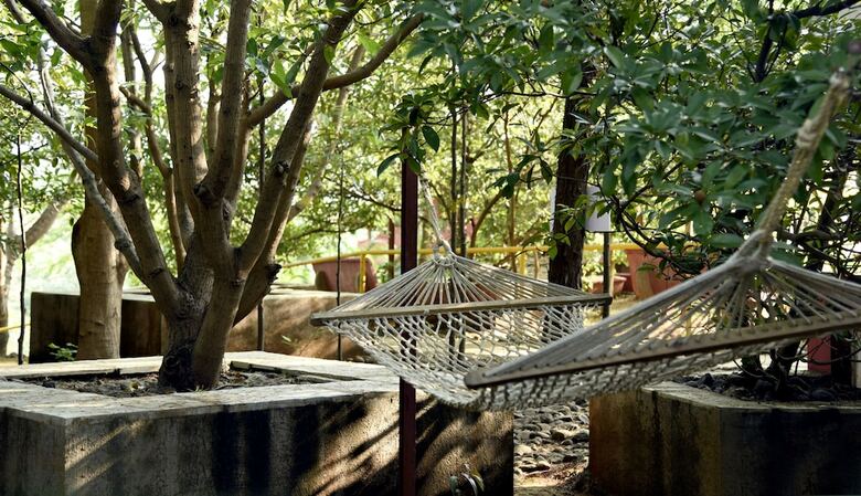 Hotel Wild Camp Resort