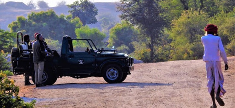 Aravali Nature Luxury Camp