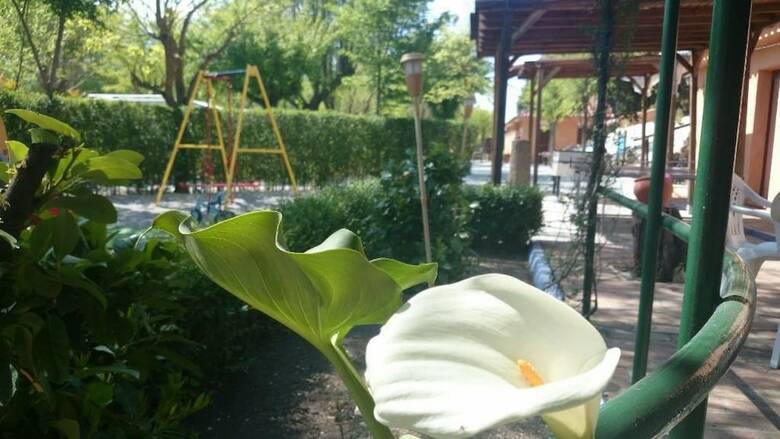 Camping & Bungalows Suspiro Del Moro