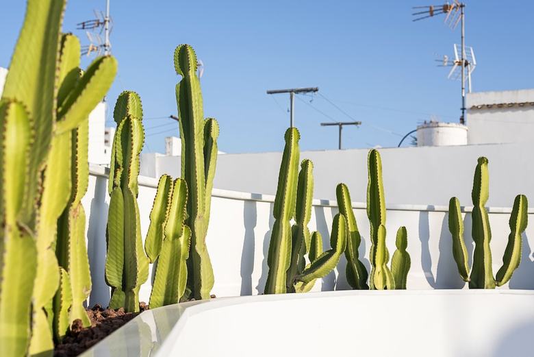 Apartamentos Conil Home Suite