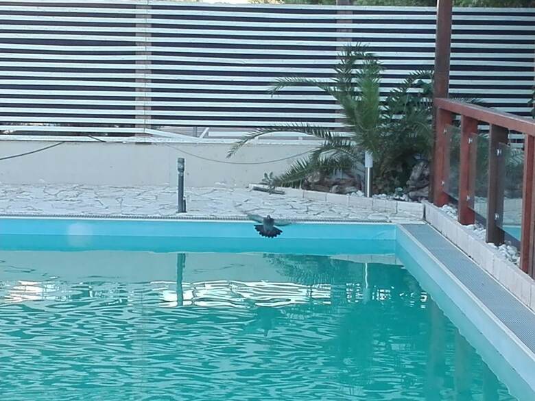 Biancopineta B&B