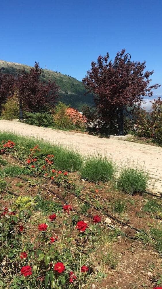 Bed & Breakfast Ch�teau Sainte-andr�e