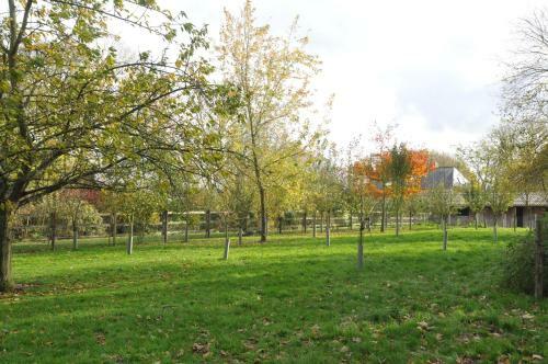 Bed & Breakfast Le Domaine Des Platanes
