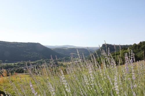 Bed & Breakfast La Ferme De Vazerat