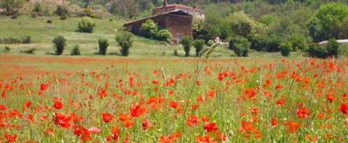 Bed & Breakfast La Ferme De Vazerat