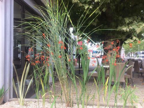 Hotel Chez Curon