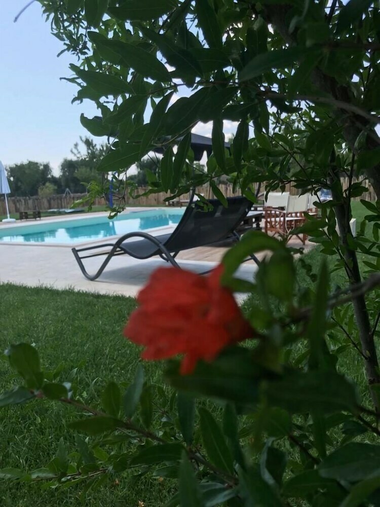 Bed & Breakfast Casa Del Grifone