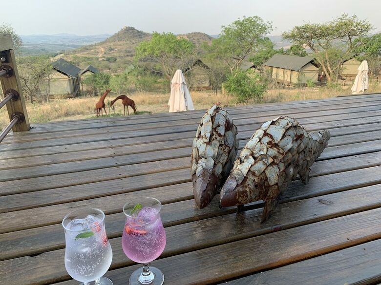 Posada Ndhula Luxury Tented Lodge