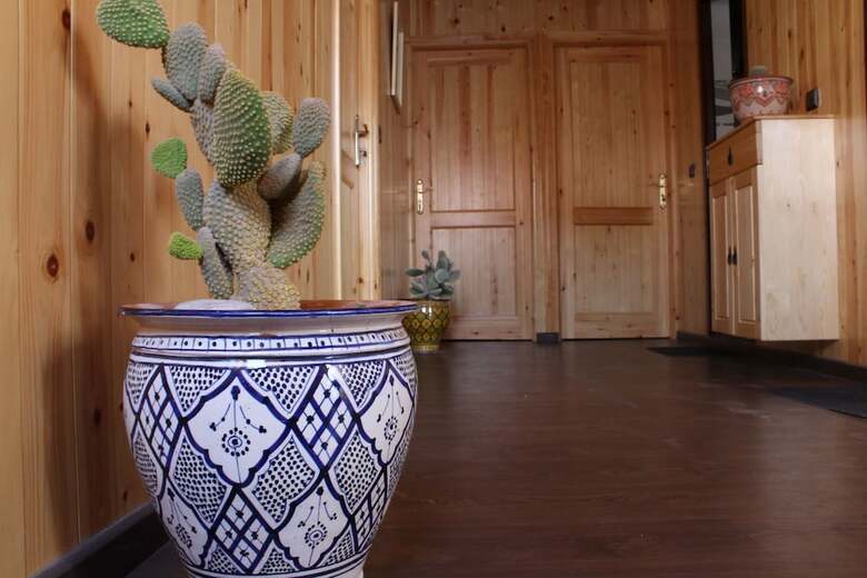 Hostal Surf Safari Morocco