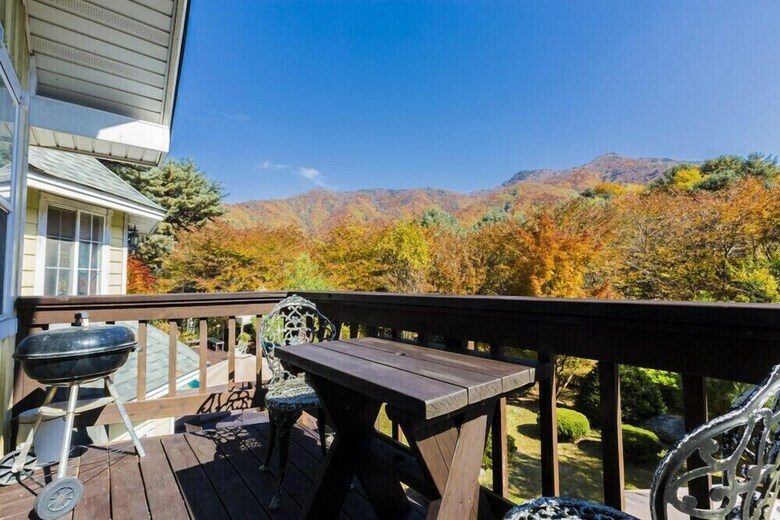 Island In Forest Pension