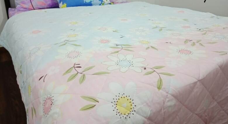 Hotel S&l Homestay