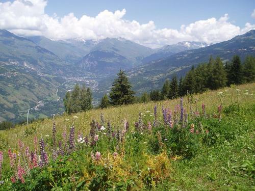 Chalet Les Gentianes