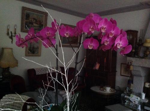 Bed & Breakfast La Demeure Aux Hortensias