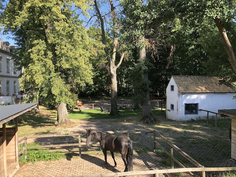 Apartamentos Horse4 C - Ranch