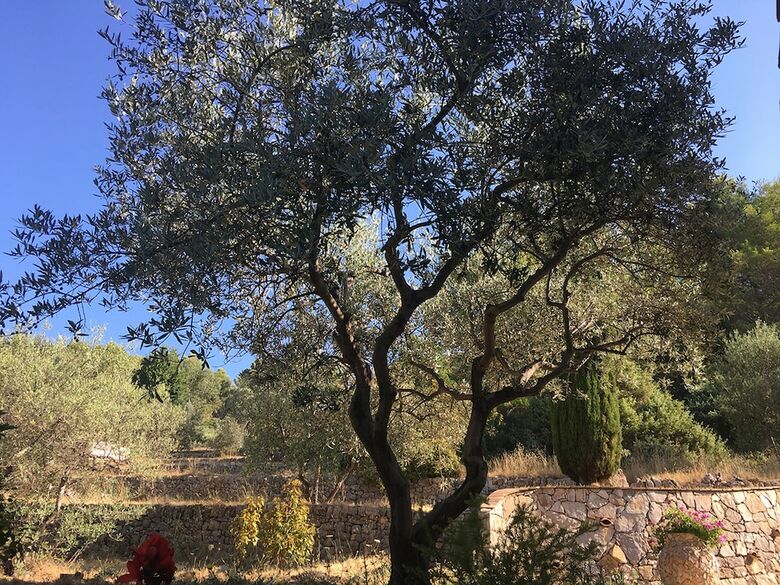 Bed & Breakfast Le Clos En Provence