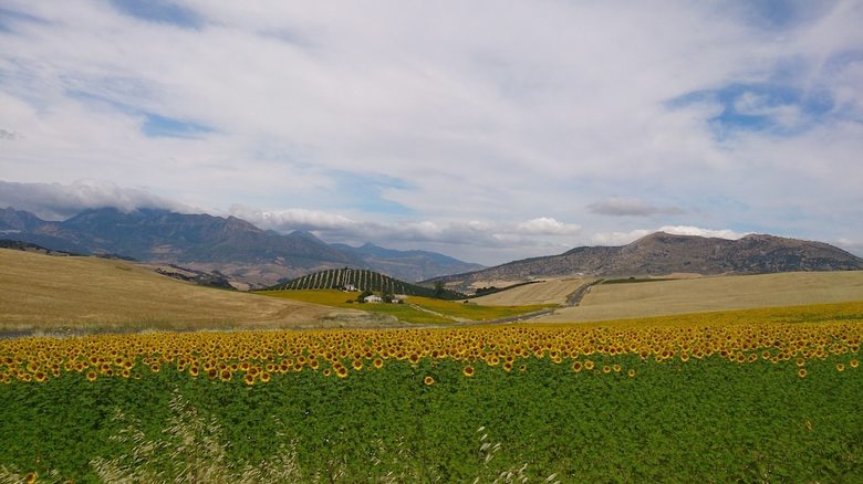 Agroturismo La Escuela Del Campo