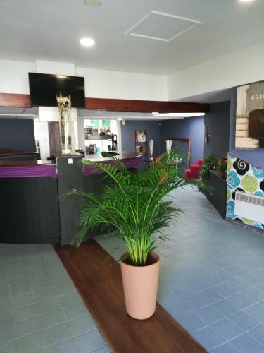 Hotel Le New Salin
