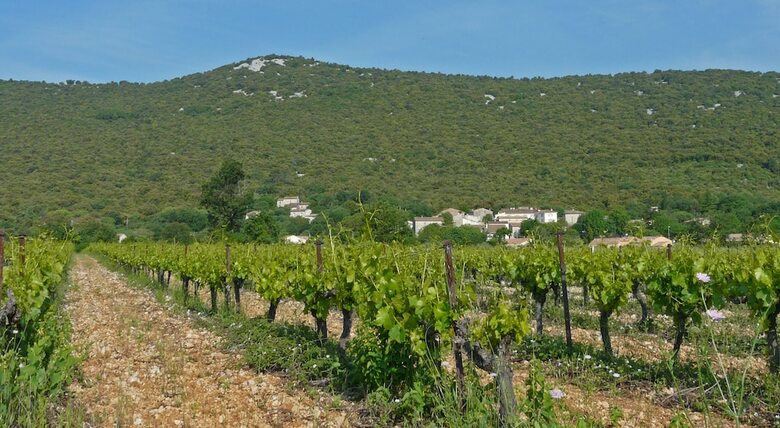 Bed & Breakfast Demeure C�venol Les Rameaux