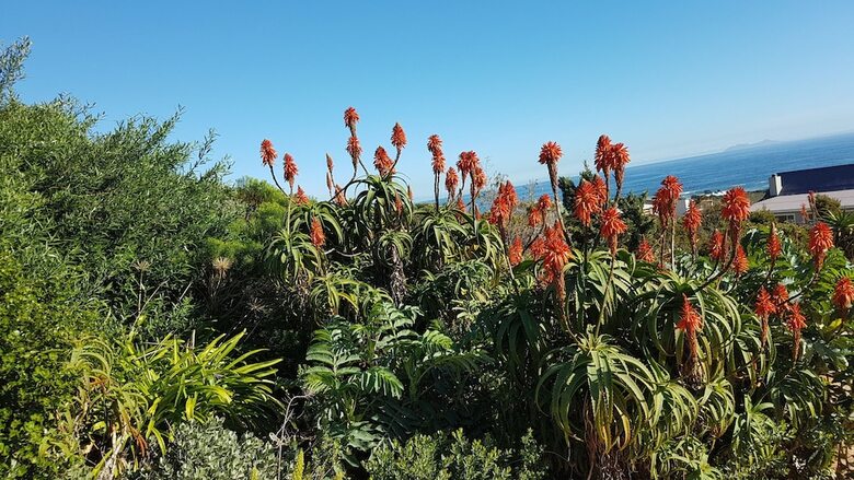 Hotel Klip Cottage Guest House Rooiels