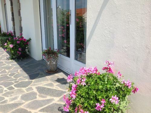 Bed & Breakfast Cap Opale