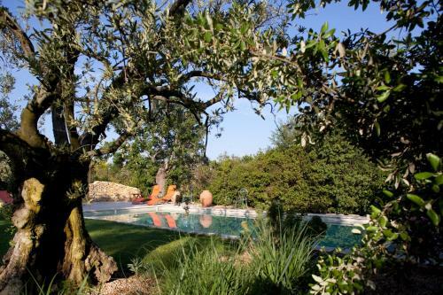 Amour Provence B&B