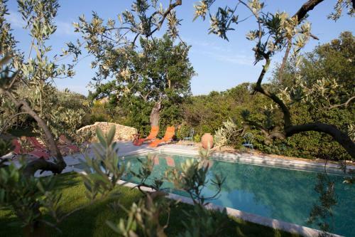 Amour Provence B&B