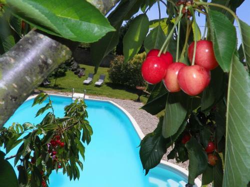 Bed & Breakfast Chateau De La Saone