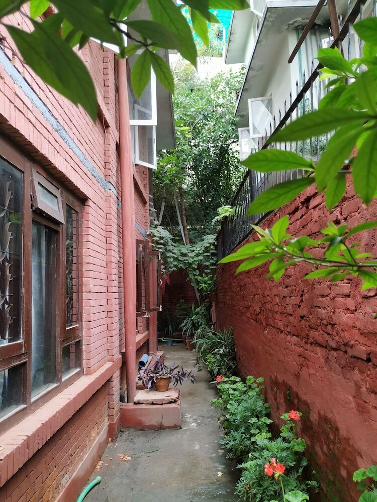 Bed & Breakfast Beehive Hostel