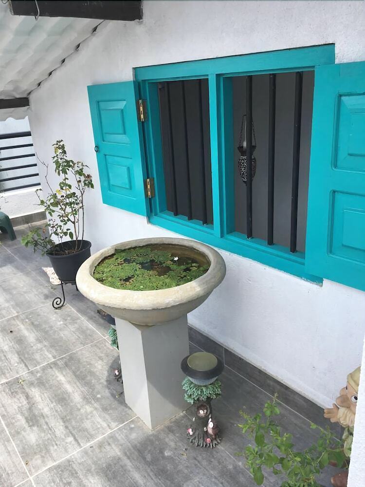 Hotel Molesworth Homestay