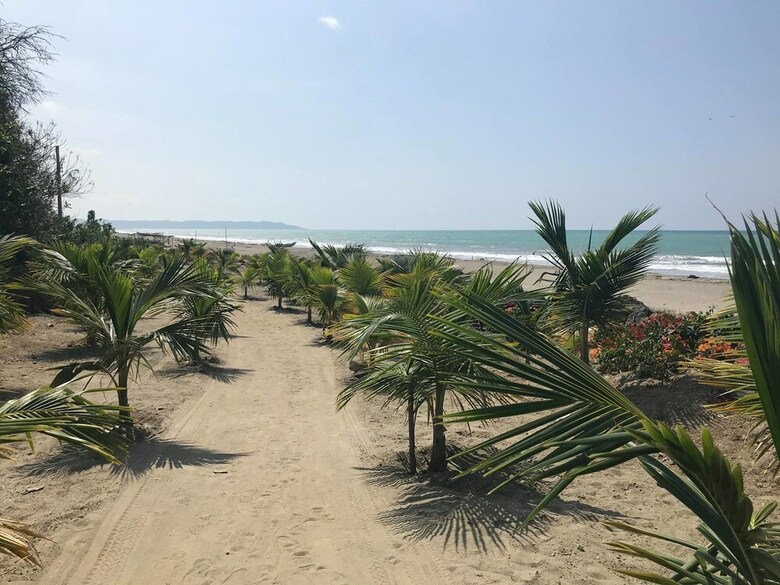 Jama Paradise