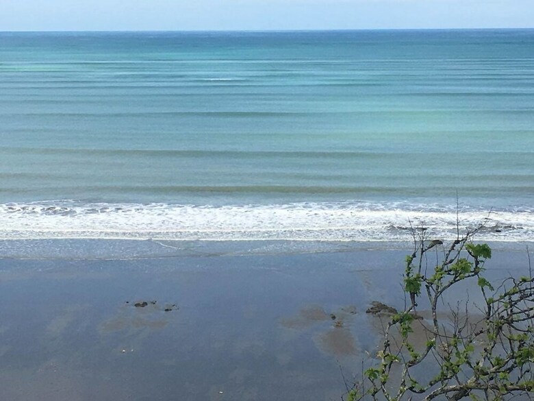 Jama Paradise