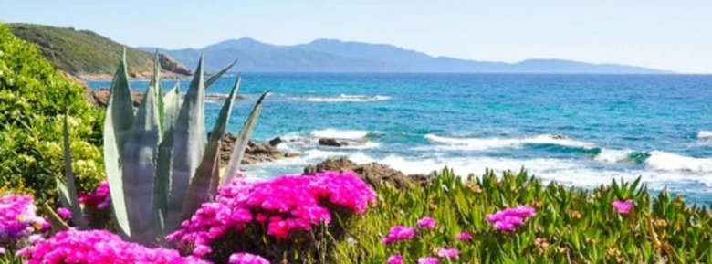 Hotel R�sidence Funtanella