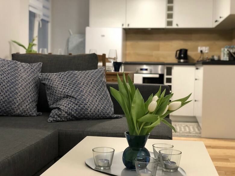 Central Rental - Apartament Cichy