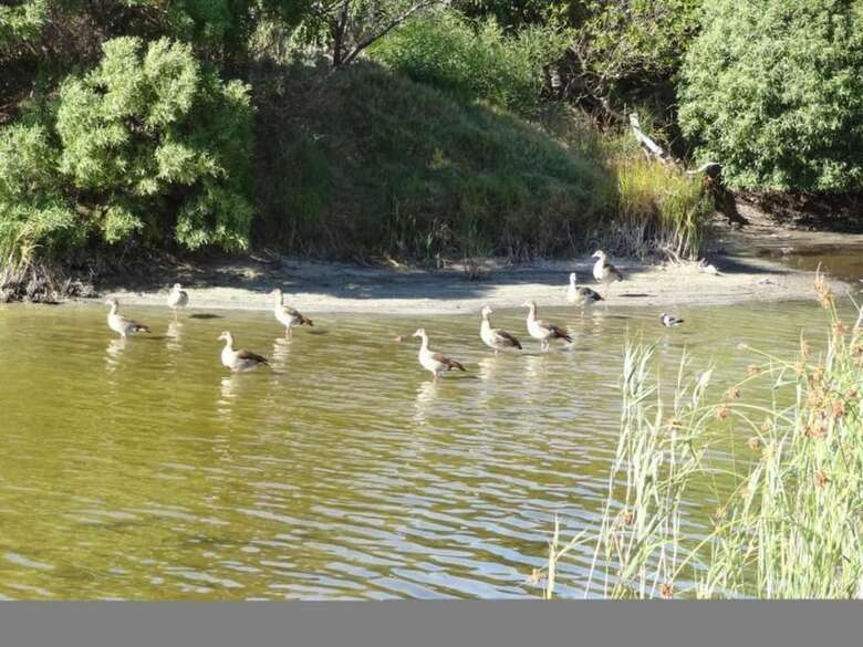 Villa Lake Michelle.. Cape Town