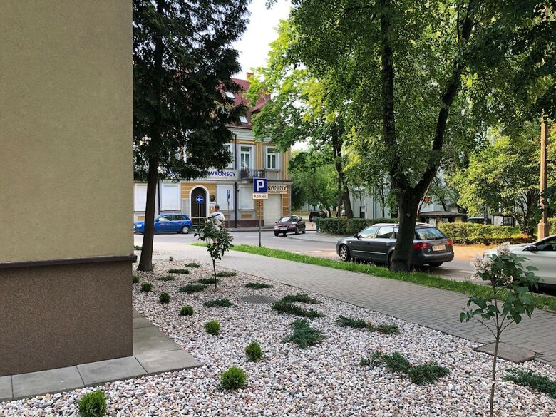 Central Rental - Apartament Uroczy