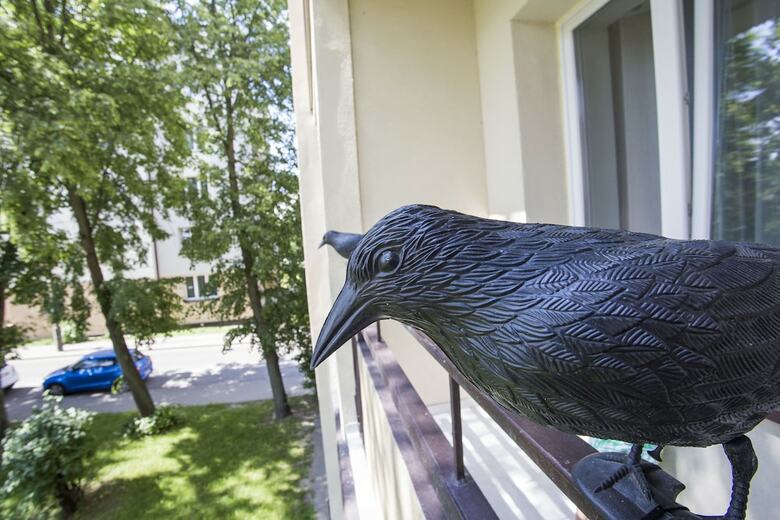 Central Rental - Apartament Uroczy