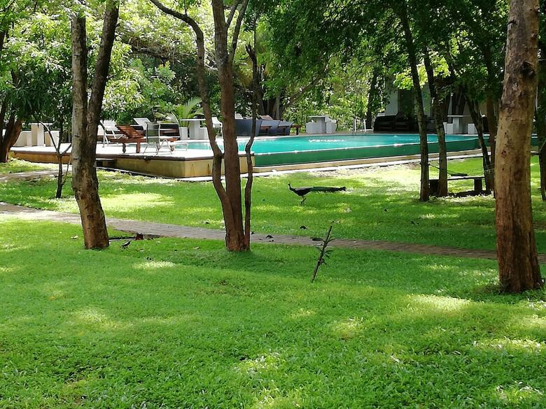 Hotel Nildiyamankada Safari Lodge