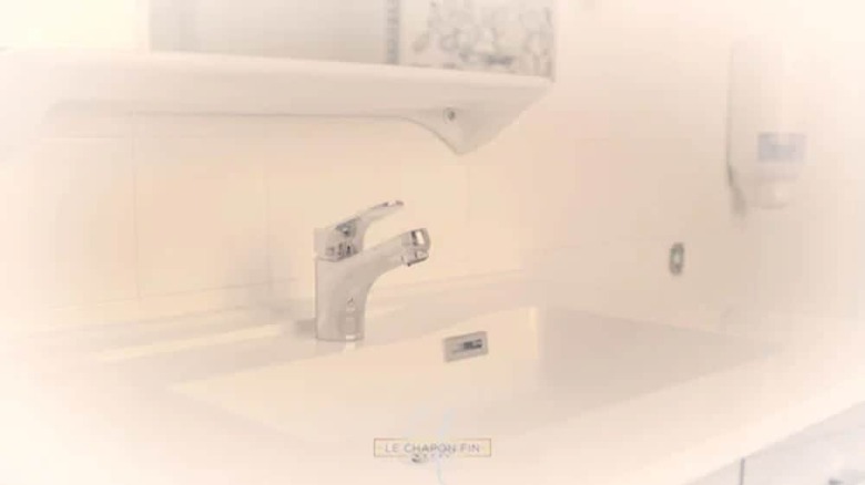 Hotel H�tel Le Chapon Fin
