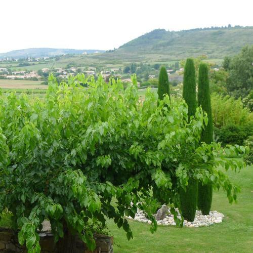 Hostal Domaine De La Manse