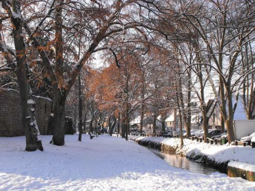 Hotel H�tel D'alsace