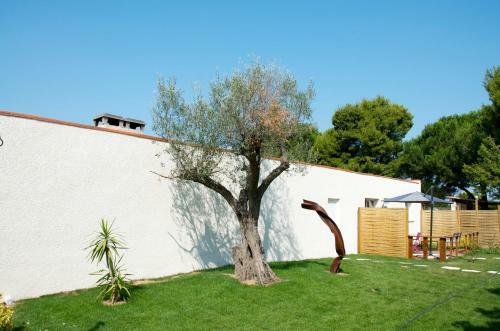 Apartamento La Cigaliere En Cote Vermeille
