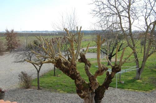 Bed & Breakfast Douce France