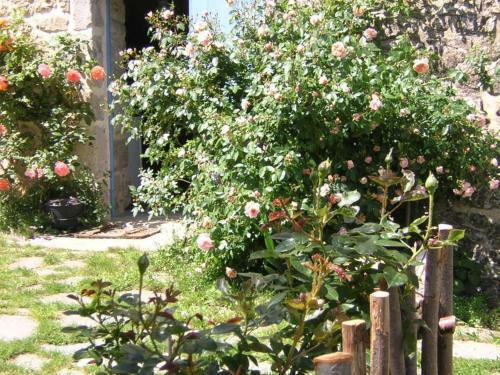 Bed & Breakfast Mas Casta N�a