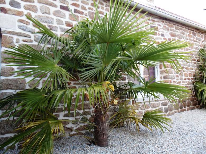 Gites Mont Saint Michel