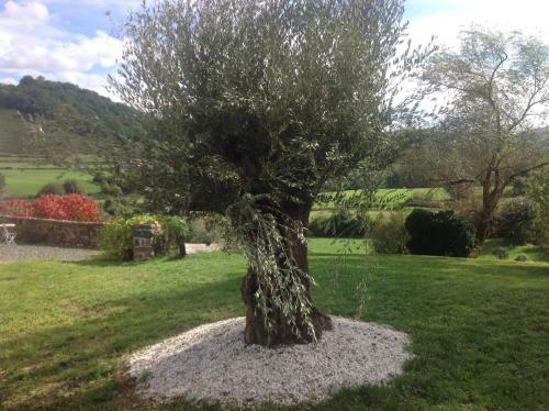 Bed & Breakfast Maison Amestoia