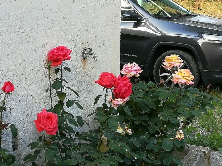B&B I Giardini Di Lala